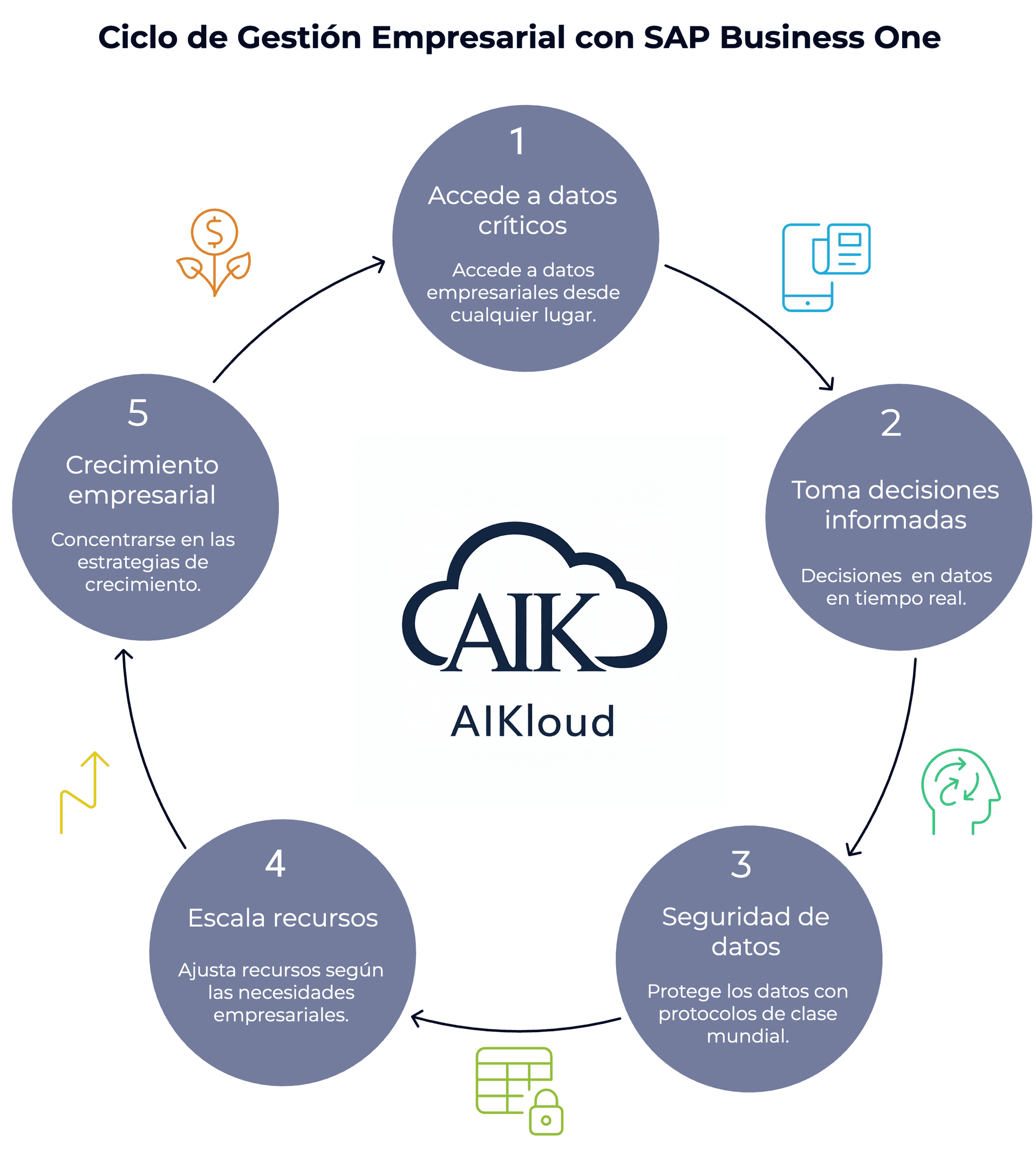 Ciclo de Gestión Empresarial con SAP Business One